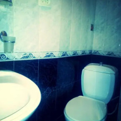 Отель Natalie's Guest house ванная фото 2