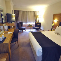 Surmeli Ankara Hotel 5* Стандартный номер разные типы кроватей фото 17