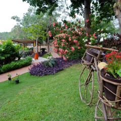 Отель Binniguenda Huatulco - Все включено фото 11