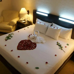 Howard Johnson Plaza Hotel Las Torres в номере фото 2