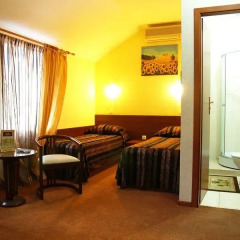 Гостиница Inn Gusy-Lebedy комната для гостей фото 2