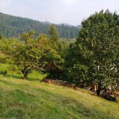 Отель Krutogora Буковель фото 8