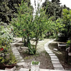 Отель Casa Vacanze Medea Сиракуза фото 16