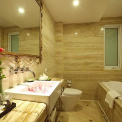 The Palmy Hotel & Spa 3* Номер категории Премиум с различными типами кроватей фото 6
