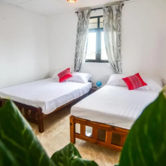 Отель M Home Guest House Стандартный номер с различными типами кроватей фото 6
