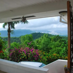 Отель Tranquility Villa Порт Антонио ванная