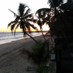 Отель Mapopo Beach пляж фото 2