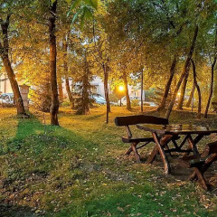Отель Villa Forest фото 2