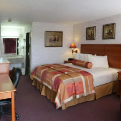 Magnuson Hotel Howell/Brighton 2* Стандартный номер с различными типами кроватей фото 2