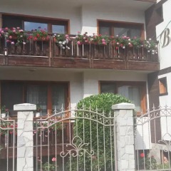 Bella Vista Family Hotel 3* Студия фото 3