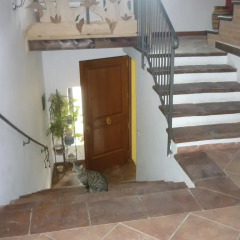 Отель B&B Vico Mitreo 2 Капуя интерьер отеля фото 2