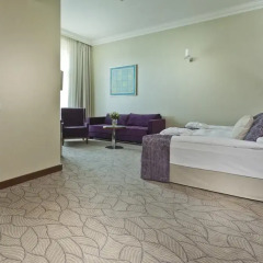 Hotel KING DAVID Prague 5* Люкс с различными типами кроватей фото 2