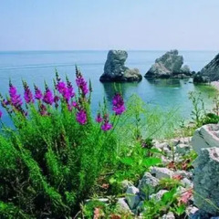 Отель Camping Village Costa Verde Потенца-Пичена приотельная территория