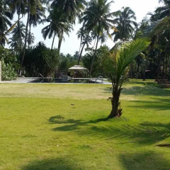 Отель Wadduwa Beach Villa фото 6