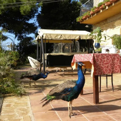 Отель B&B Villa San Marco 2* Стандартный номер фото 4