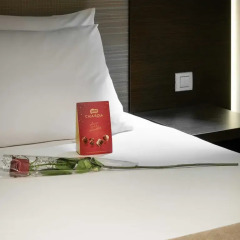Отель Sercotel Asta Regia Jerez Испания, Херес-де-ла-Фронтера - 2 отзыва об отеле, цены и фото номеров - забронировать отель Sercotel Asta Regia Jerez онлайн удобства в номере