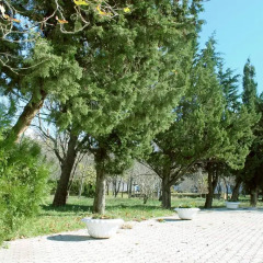Гостиница Orchestra Horizont Gelendzhik Resort спортивное сооружение