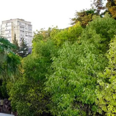Гостиница Катран фото 4