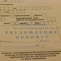Хостел Панда городской автобус