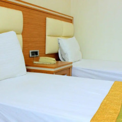 Hotel Buyuk Paris 3* Стандартный номер с различными типами кроватей фото 9
