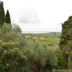 Отель Collina Lagomare Массароза приотельная территория