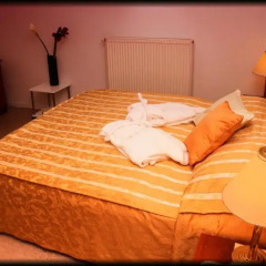 Hotel Vila Tina 3* Стандартный номер с двуспальной кроватью фото 16