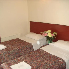 Regency Court Hotel комната для гостей фото 5