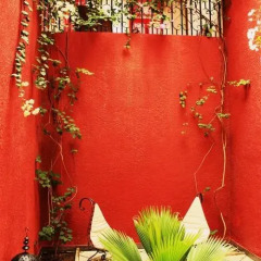 Auberge Diaguili in Nouakchott, Mauritania from 53$, photos, reviews - zenhotels.com photo 3