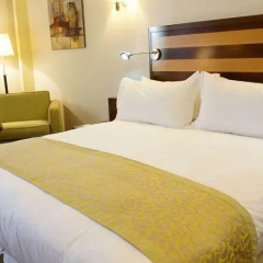 Отель Holiday Inn Riyadh Al-Qasr 5* Номер Делюкс с различными типами кроватей фото 10