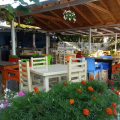 Отель Green House Ksamil Албания, Ксамил - отзывы, цены и фото номеров - забронировать отель Green House Ksamil онлайн питание