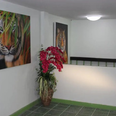 Samui Green Hotel интерьер отеля фото 3