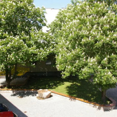 Отель Guest House Senasis Pastas Литва, Друскининкай - 2 отзыва об отеле, цены и фото номеров - забронировать отель Guest House Senasis Pastas онлайн балкон