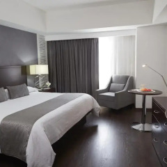 Hotel Ejecutivo Express 3* Представительский номер с различными типами кроватей