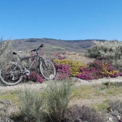 Отель Quinta das Colmeias спортивное сооружение