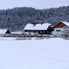 Отель Tischlmühle Appartements & mehr