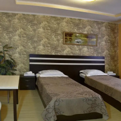 Гостиница Ростов Номер Эконом разные типы кроватей
