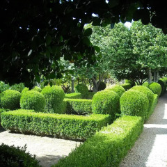 Отель Quinta das Aranhas Кастело-де-Пайва фото 6