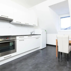 Апартаменты Swiss Star Apartments Center в номере фото 2