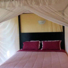 Отель Sammy Resort And Spa 3* Бунгало Делюкс