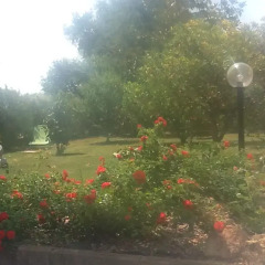 Отель B&B Le Rose Монтефано приотельная территория фото 2