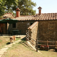 Отель Tribbiano Ареццо детские мероприятия