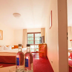 Kim Hotel Im Park 3* Стандартный семейный номер с двуспальной кроватью