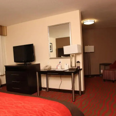 Отель Comfort Inn Los Angeles Лос-Анджелес удобства в номере фото 2