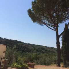 Отель Agriturismo Le Catre Кастаньето-Кардуччи фото 12