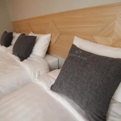 The Stay Hotel 3* Стандартный номер с различными типами кроватей фото 4