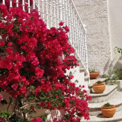 Отель Apartamentos Marítimo Sólo Adultos Эль-Грове фото 6