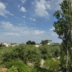 Отель B&B AnnaVì Стандартный номер фото 14