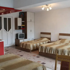 Отель Orchideia Studios Болгария, Сандански - отзывы, цены и фото номеров - забронировать отель Orchideia Studios онлайн комната для гостей фото 2