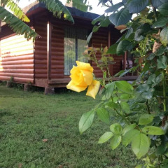 Отель Cirali Almira Bungalow фото 23