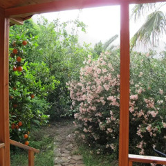 Отель Anatolia Resort Бунгало